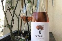 Otazu Rosé Tempranillo Navarra 2025 : l’élégance du rosé espagnol